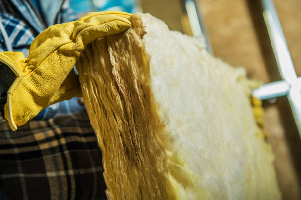 Insulation Inspection Services in Marlton, MD